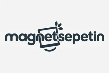Magnetsepetin